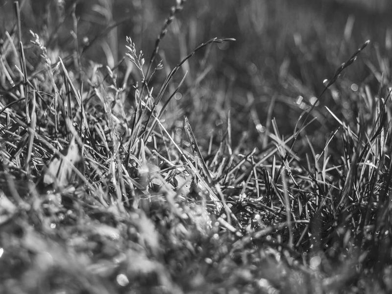 sudoku coloring method screenshot 3